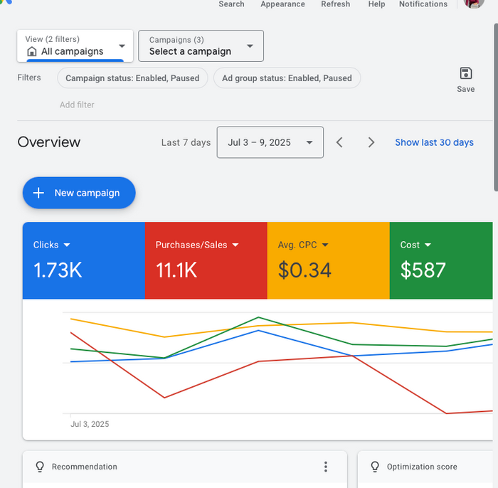 Google Ads campaign performance dashboard